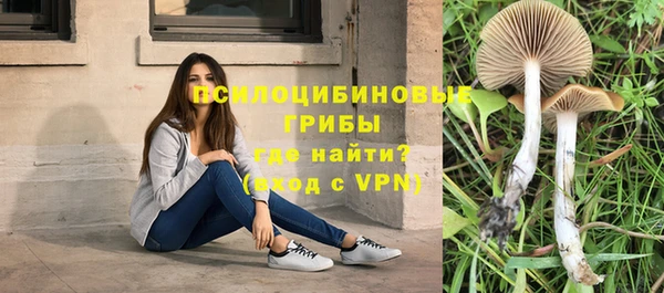 дурь Вязники
