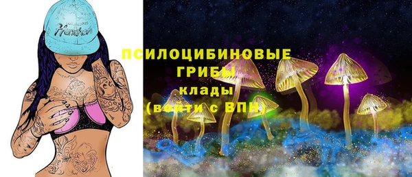 дурь Вязники