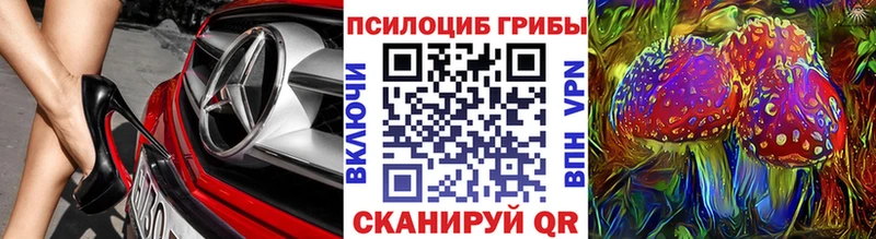 Галлюциногенные грибы мицелий  Купить  Новозыбков 